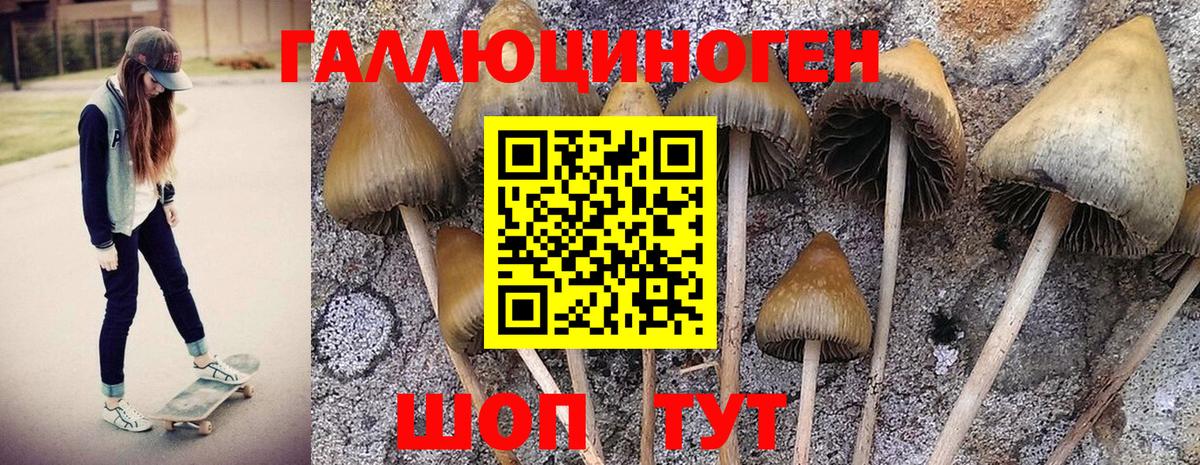 Псилоцибиновые грибы MAGIC MUSHROOMS  Вход с VPN  Конаково 
