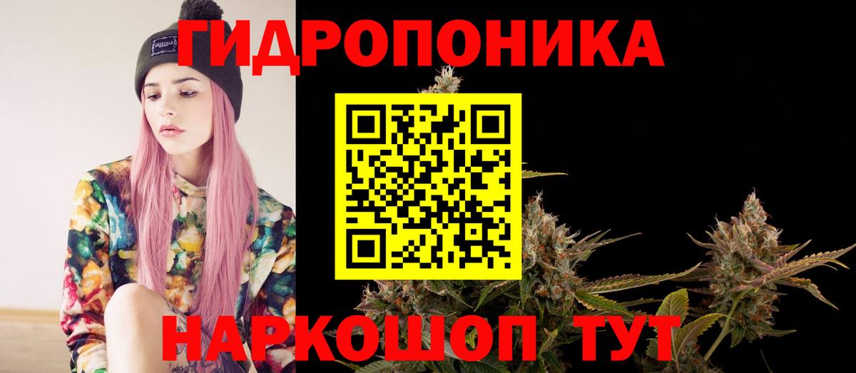 Бошки Шишки семена  Каннабис сатива  Марихуана индика  Конаково  Вход с VPN 